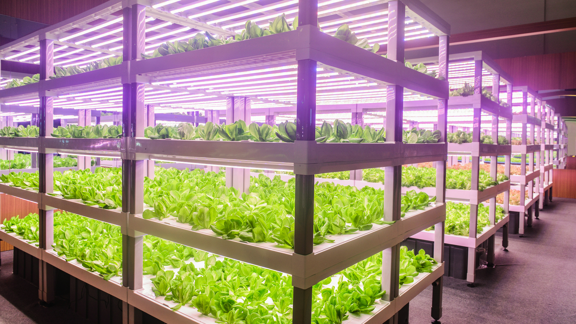 Dreamstime M 124143911 21173493 61279effc121c