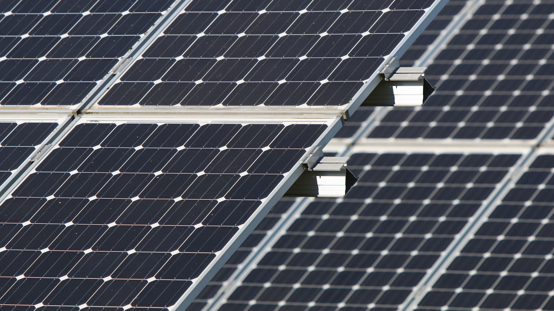 Dreamstime M 139116614 21172689 611d52af4df08