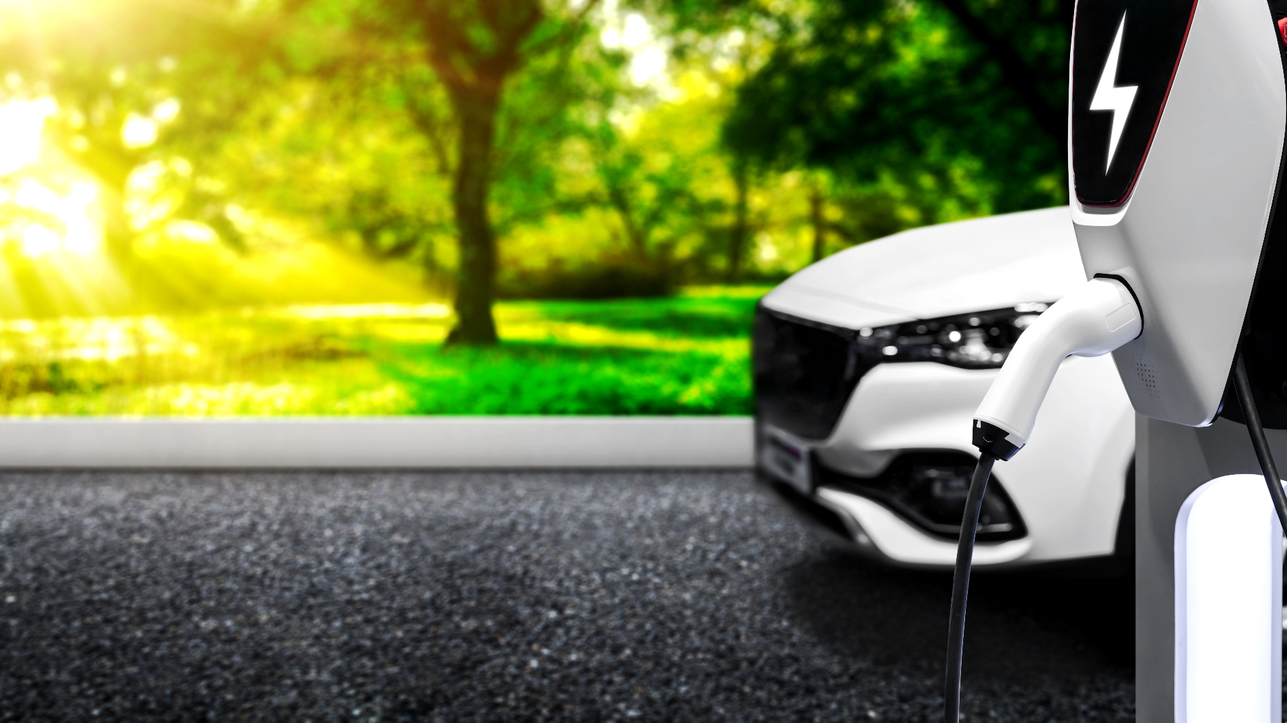 Photo 226045924 &copy; Bianco Blue | Dreamstime