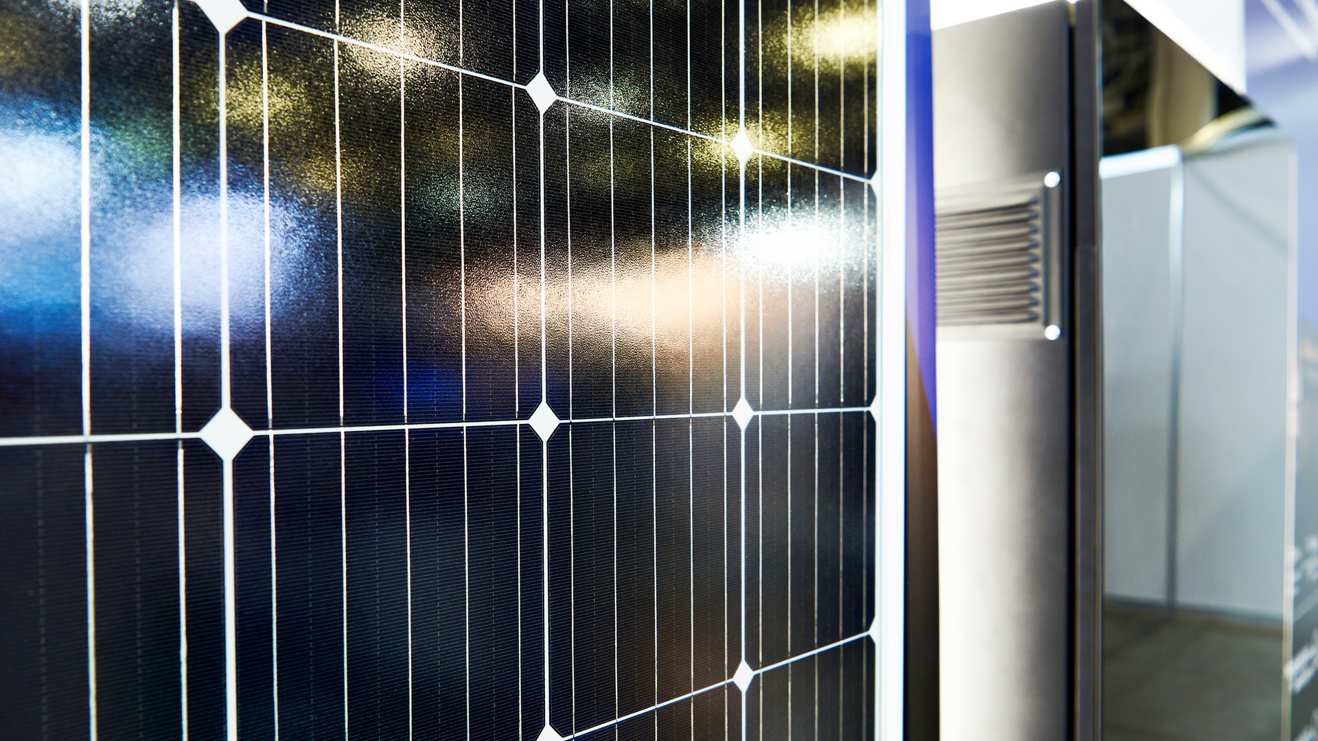 Dreamstime M 205705556 21174186