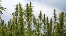 Dreamstime M 119947644 21177341 615b529be83a2 Dreamstime M 119947644 21177341 615b529be83a2