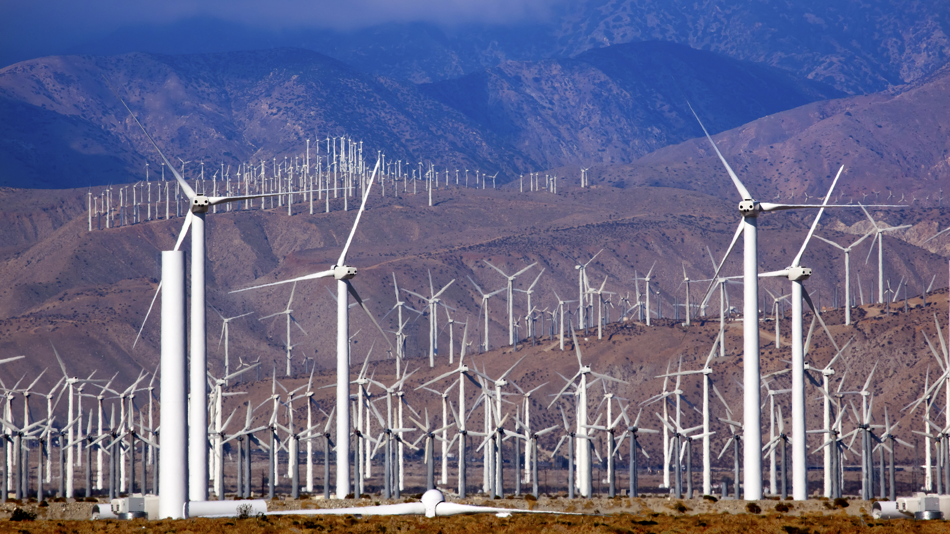 Dreamstime M 2239119421177186 61576b962f7a1