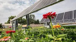 10 29 Community Solar Article 3 (002)