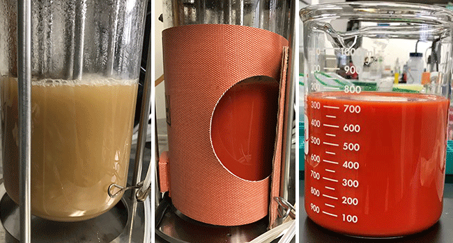 Biofuels 61b75abd32f76