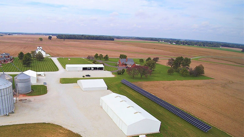 Emergent Solar Corya Lo 61bcd8bbeed98