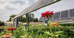 10 29 Community Solar Article 3 002 61801cb91cd27 61f2a732bce66 10 29 Community Solar Article 3 002 61801cb91cd27 61f2a732bce66