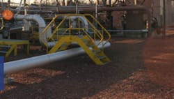 Picture2 61f03099ace88 Picture2 61f03099ace88