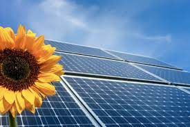 Sunflower Solar 622a6db16973f