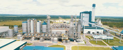 Spectrum41 Suzano Cover 6239fe397005c