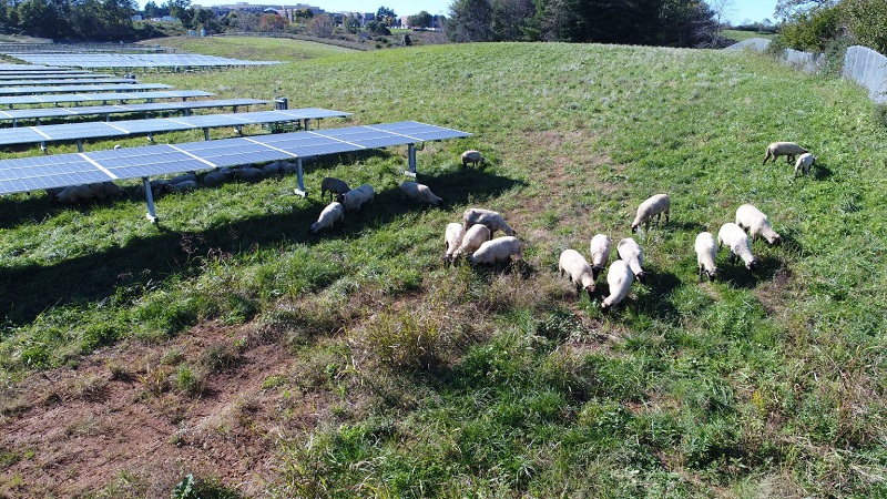 Carillon Solar 62601e41ee7e7