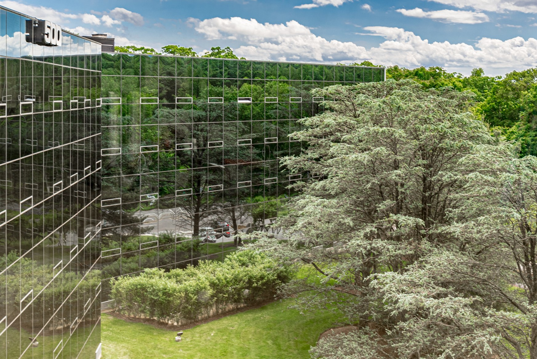 Mamarock Avenue 625825db543d0