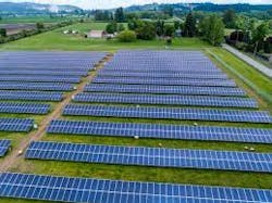 Pine Gate 6286642fd9cdc Pine Gate 6286642fd9cdc