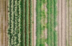 Wild Hope Farm 629e09cc6d3ad Wild Hope Farm 629e09cc6d3ad