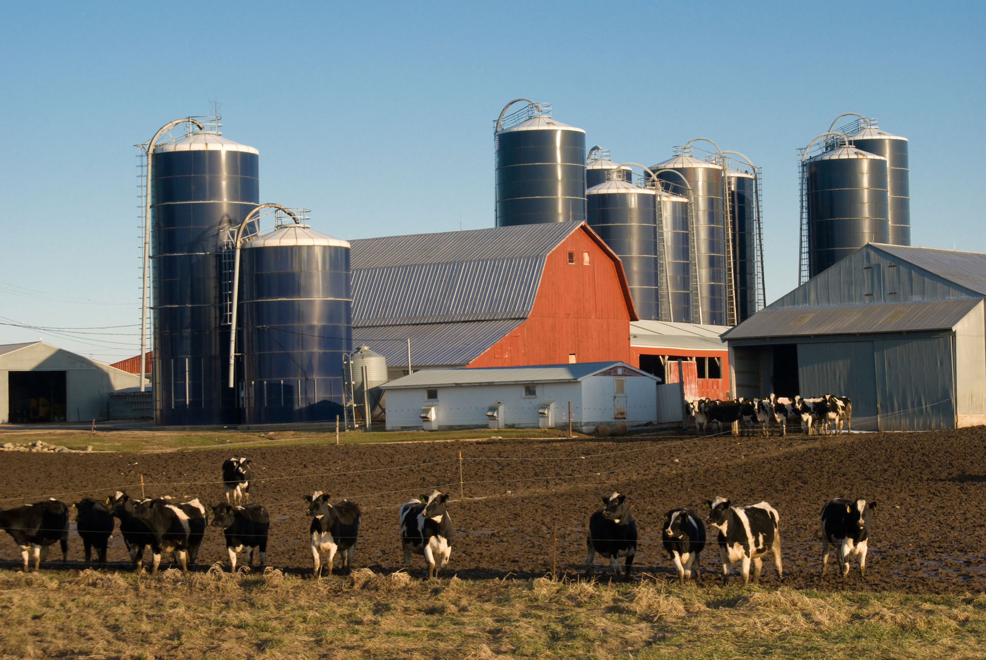 Dreamstime M 5843193 62a37e341caff