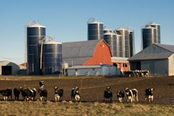 Dreamstime M 5843193 62a37e341caff Dreamstime M 5843193 62a37e341caff