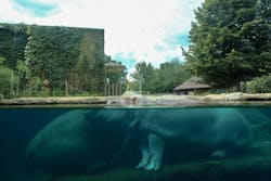 Julia Dorian Dreamstime 632b4f3d93b06 Julia Dorian Dreamstime 632b4f3d93b06