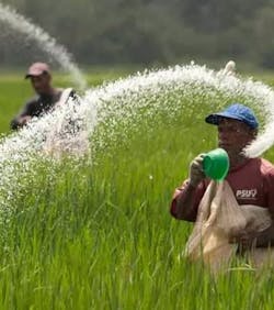 Image credit Tarafert Image credit Tarafert