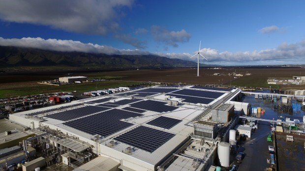 Tayor Farms 632cbae4cac39