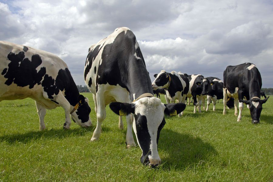 Global Diary Platform 6372980b92659