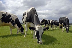 Global Diary Platform 6372980b92659 Global Diary Platform 6372980b92659