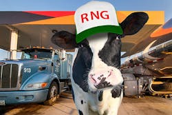 Rng Cow 63adac690781f Rng Cow 63adac690781f