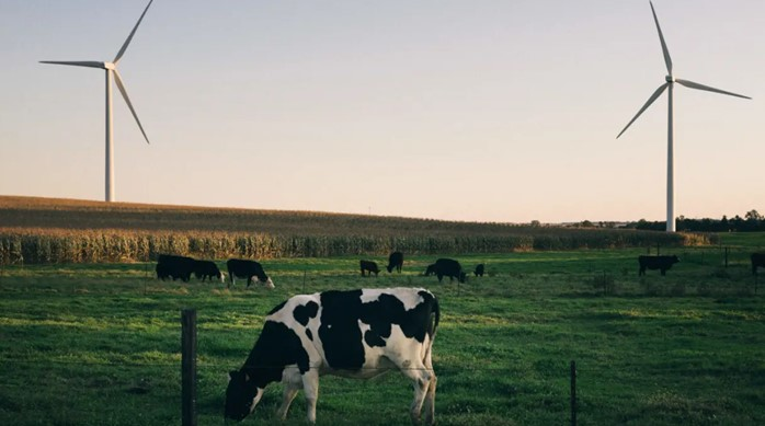 Wind Turbines Rivian 639090ae0211a