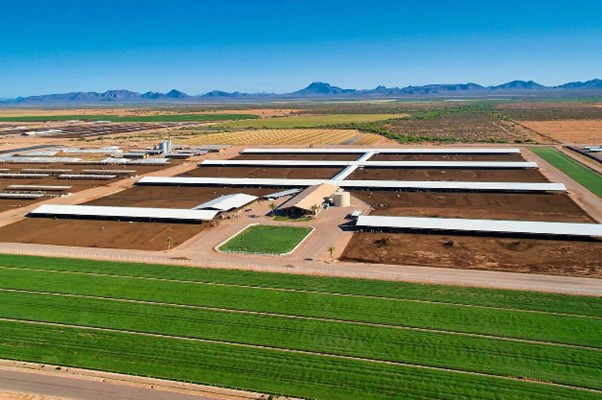 Opal Gas Photo Florida 63bc3690088b9