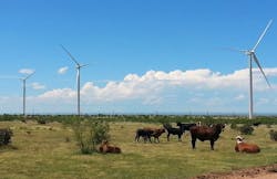 The Spinning Spur 3 wind power project in Texas. Image credit EDF The Spinning Spur 3 wind power project in Texas. Image credit EDF