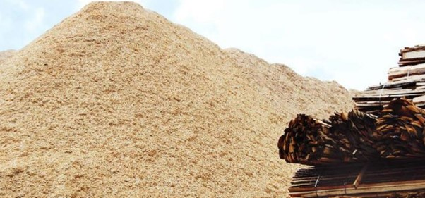 Biomass Hydro Quebec 63e1482ea28eb