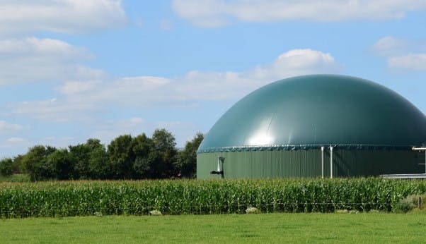 FPU Renewables plans RNG at Florida Dairy Farm | EnergyTech
