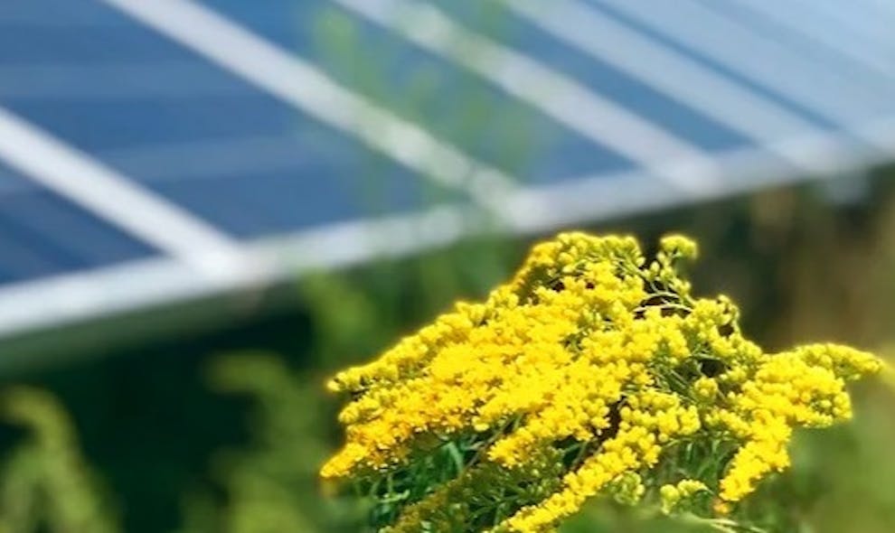 New Hampshire Community Solar