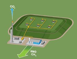 Rng Collectdion 63ed098b96dd6 Rng Collectdion 63ed098b96dd6