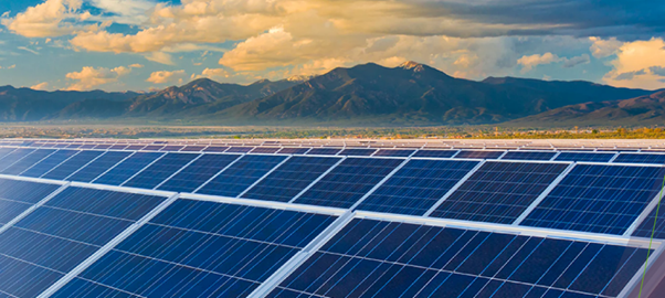 Bayer Solar 645b9e7942d35