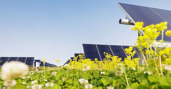 Lightsource Solar 646f5a273448e