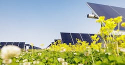 Lightsource Solar 646f5a273448e Lightsource Solar 646f5a273448e