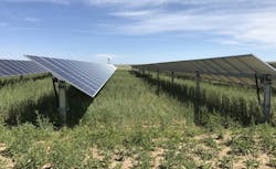 Pivot Energy Community Solar 645a8edc9c2ca Pivot Energy Community Solar 645a8edc9c2ca