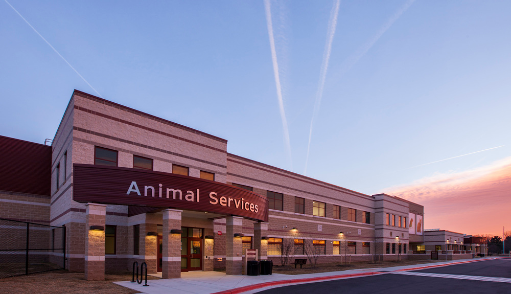 Montgomery County Animal Shelter 161495 648c7b87ec946