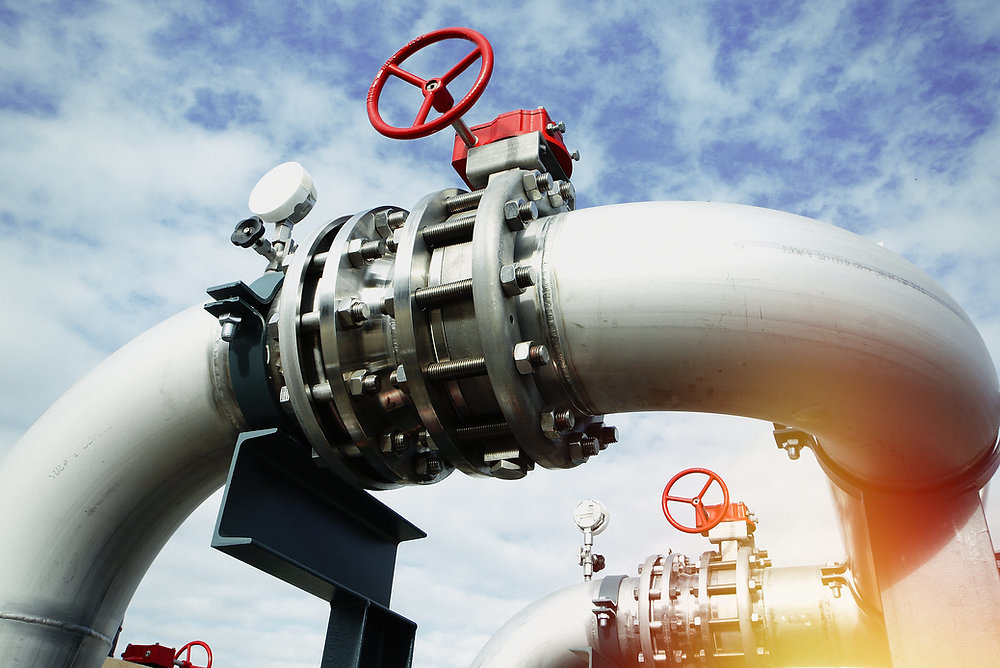 Black Bear 1 64c287327798f