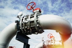 Black Bear 1 64c287327798f Black Bear 1 64c287327798f