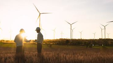 Usda 2 64db90e815c7f