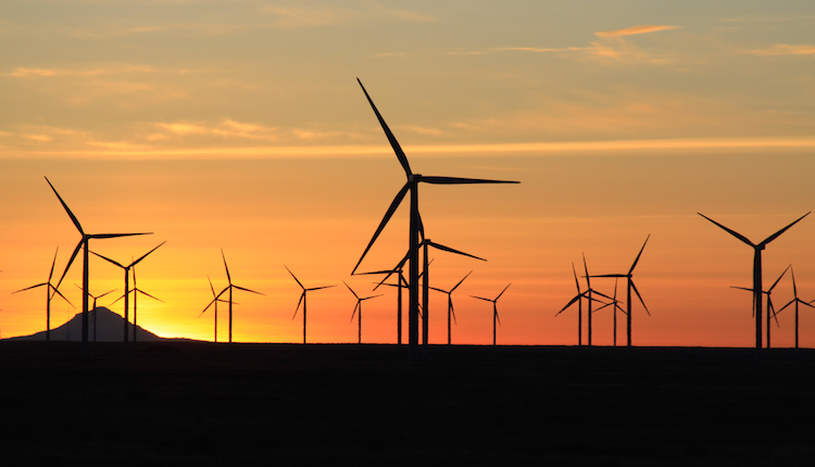 Doe 2 2 64ede56cb5de0