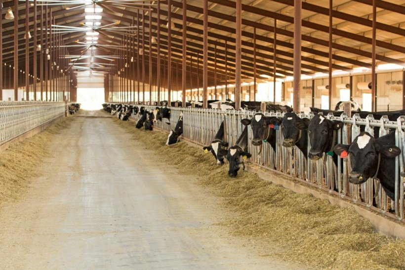 Doe 6 1 64e8becbbd84c