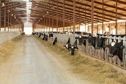 Doe 6 1 64e8becbbd84c Doe 6 1 64e8becbbd84c