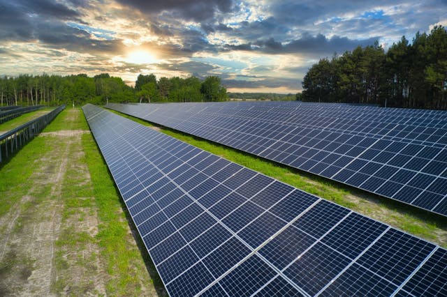 Leeward Renewable Energy Completes 100 MW Oak Trail Solar Project in ...