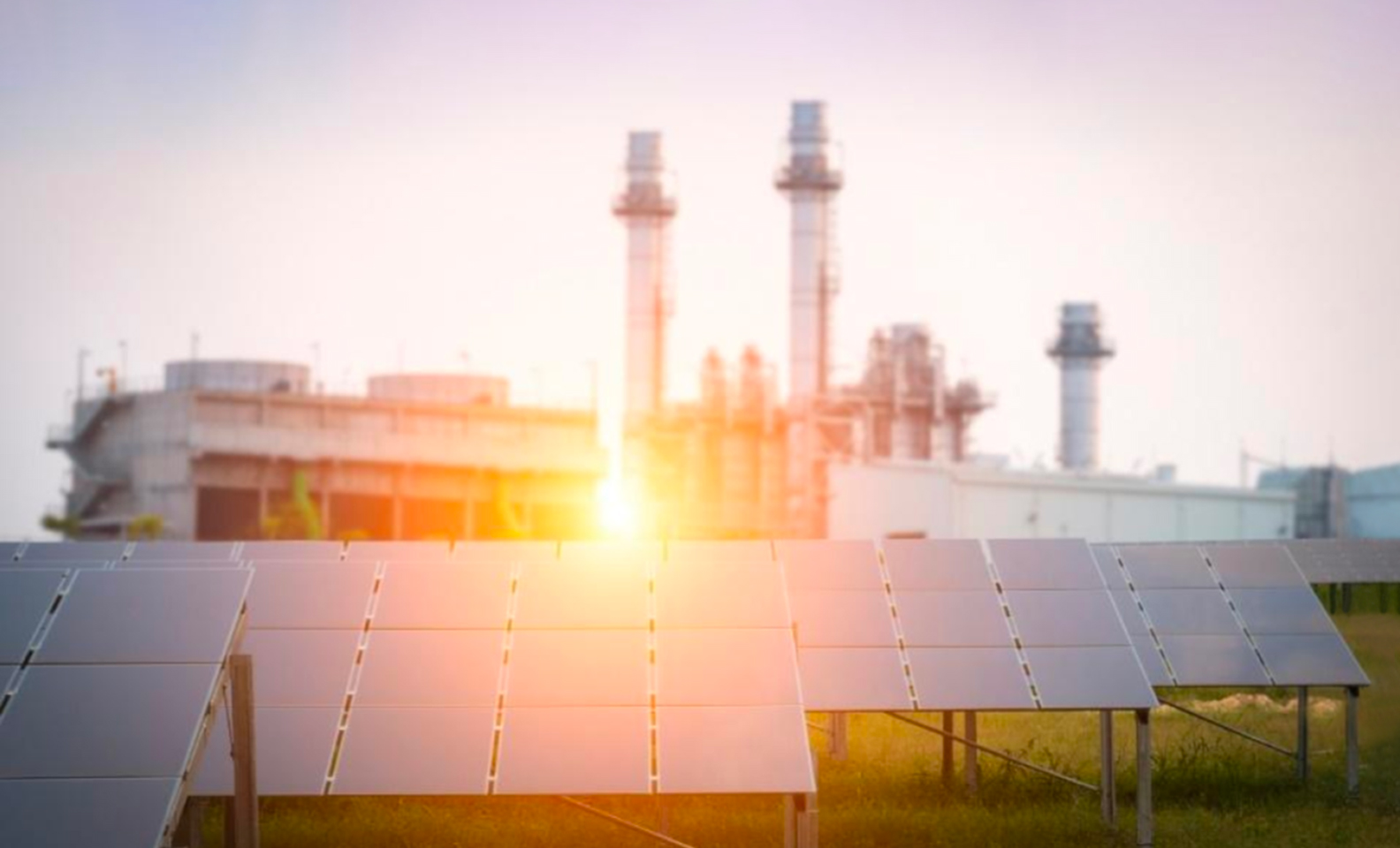 Enel 1 650c4c8e5465c