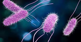 Center For Disease Control 6500ec66ace02