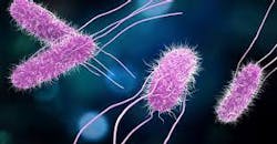 Center For Disease Control 6500ec66ace02 Center For Disease Control 6500ec66ace02