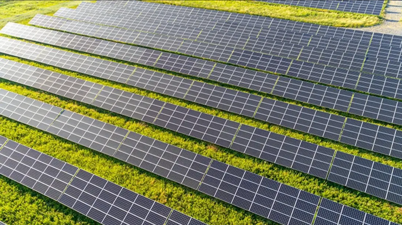 Nexamp 64f2165f9c996