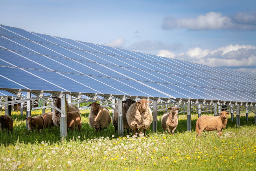 Terra Solar 1