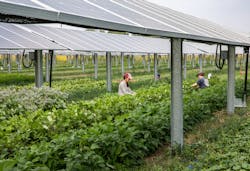 Doe 2 1 65328f7025807 Doe 2 1 65328f7025807